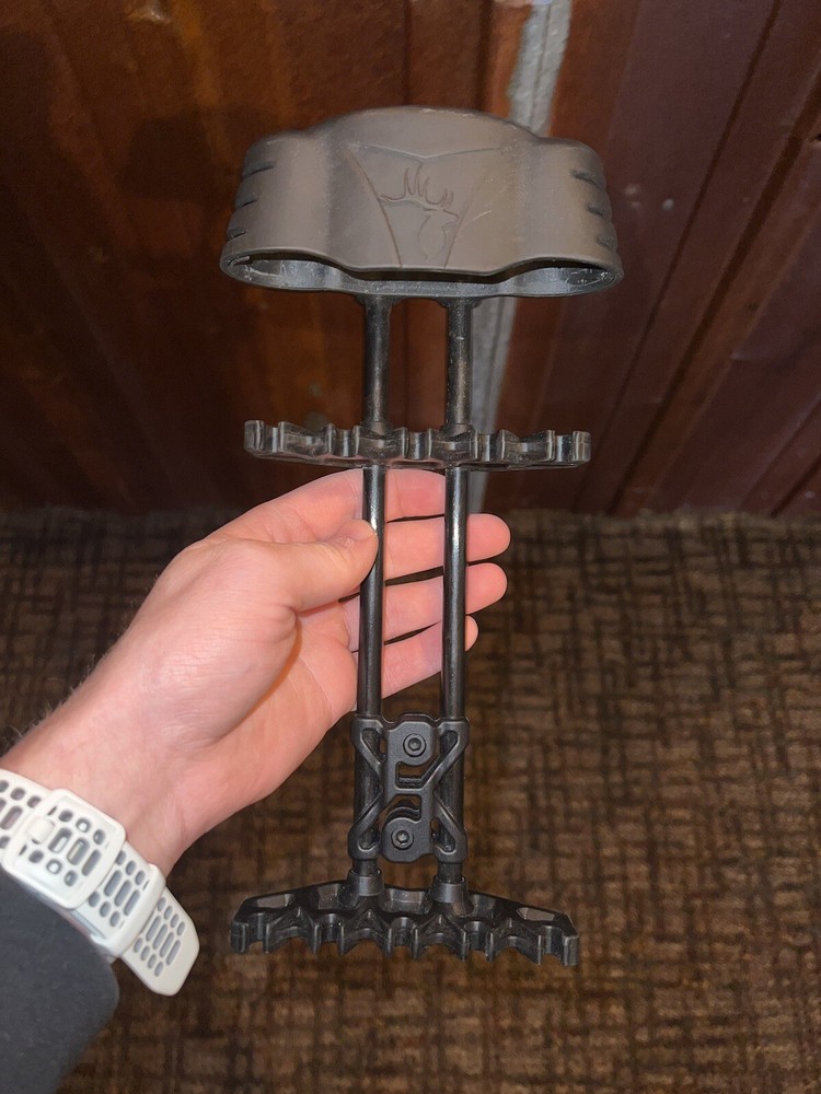 Bear Paradox Compound Bow