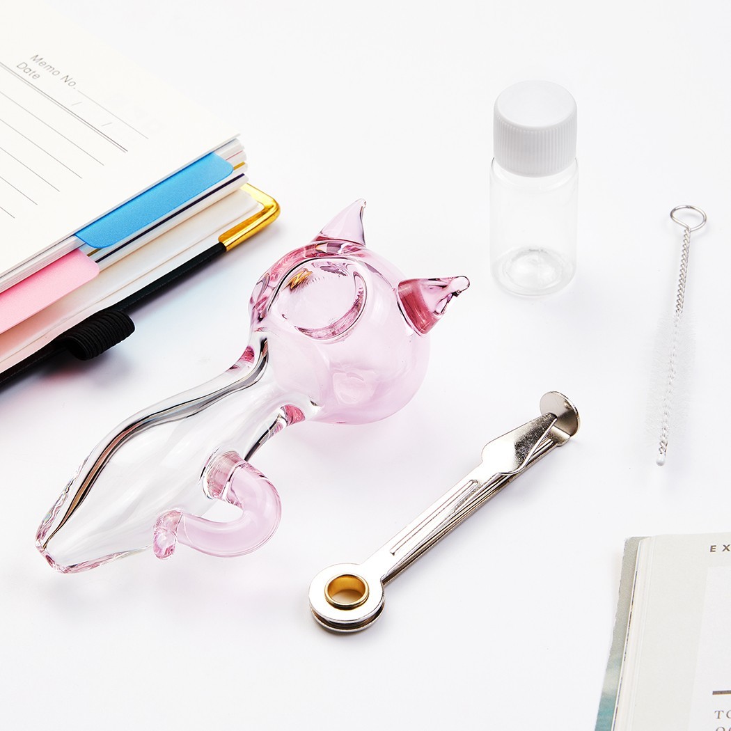 4" Cat Glass Tobacco Smoking Pipe with Brush Storage Box and Tool Hand Pipe