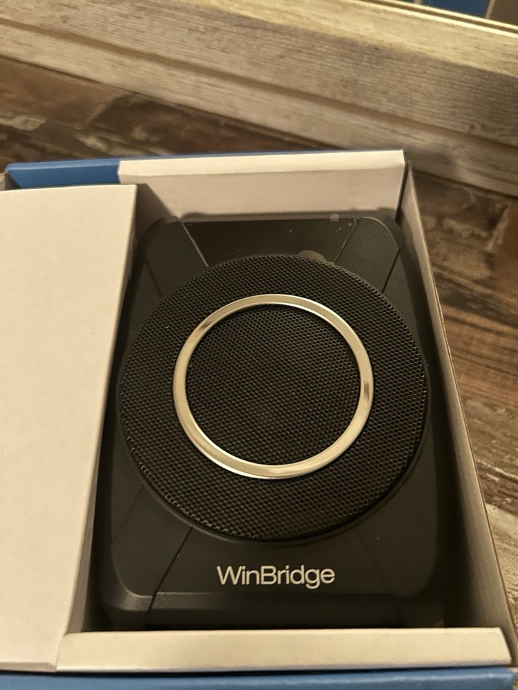 WinBridge: Voice Amplifier Wireless Microphone, 20W Portable PA System