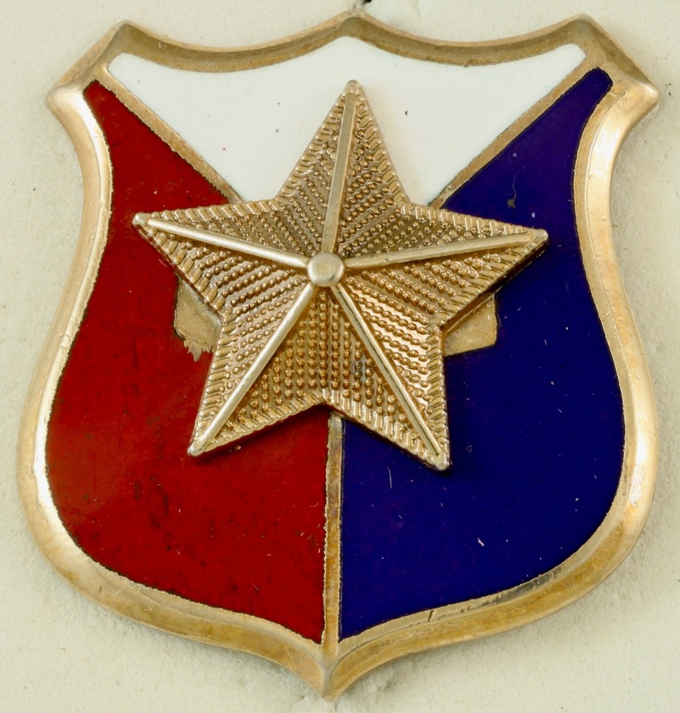 Unknown Divisional Crest DI/DUI Pinback