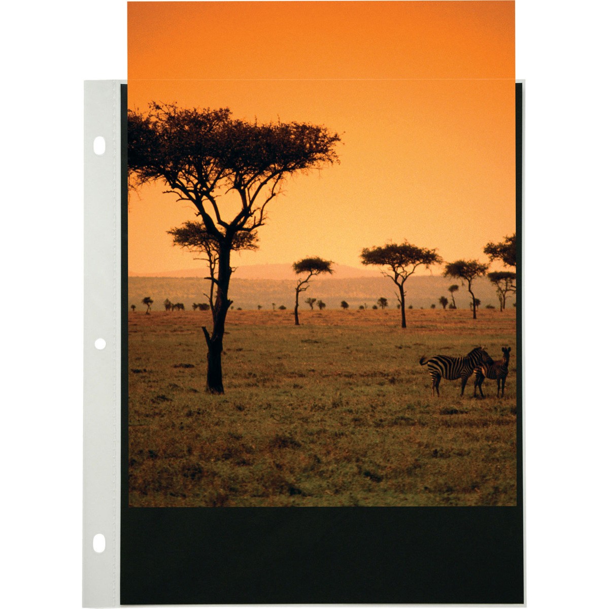 Itoya Art Profolio 18x24" Crystal Clear PolyGlass Pages, 10 Pages Per Pack