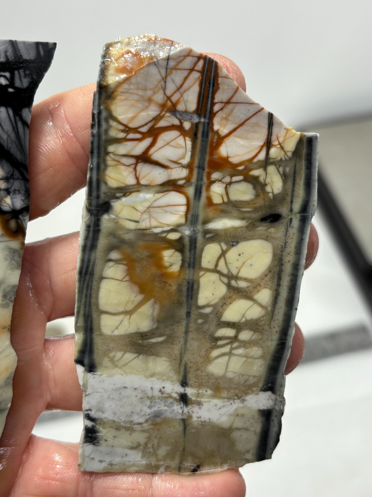 Picasso Marble (Jasper) Slabs Cabbing Lapidary Utah Combo Ship Avail