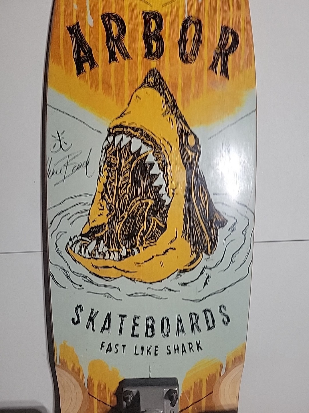 Arbor Longboard 31 Inches Long, 8.5 Inches Wide Brand New