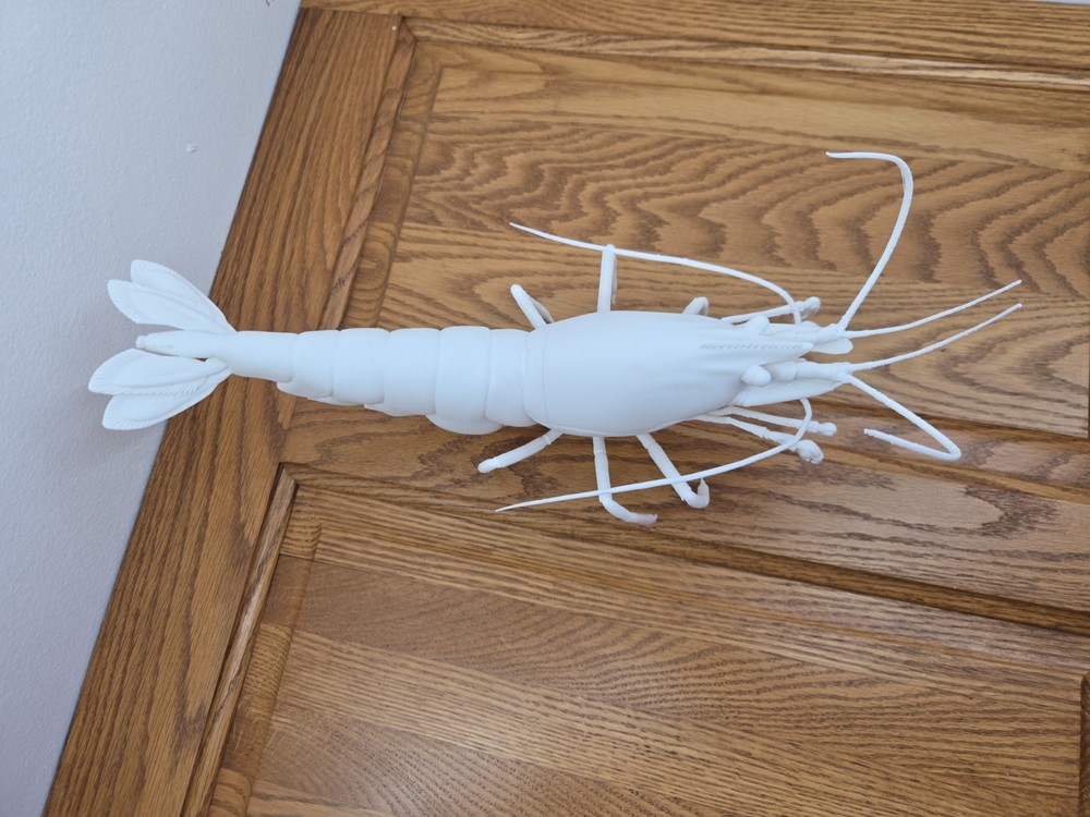Solid white snowball Neocaridina Shrimp 3d Print READ DESCRIPTION