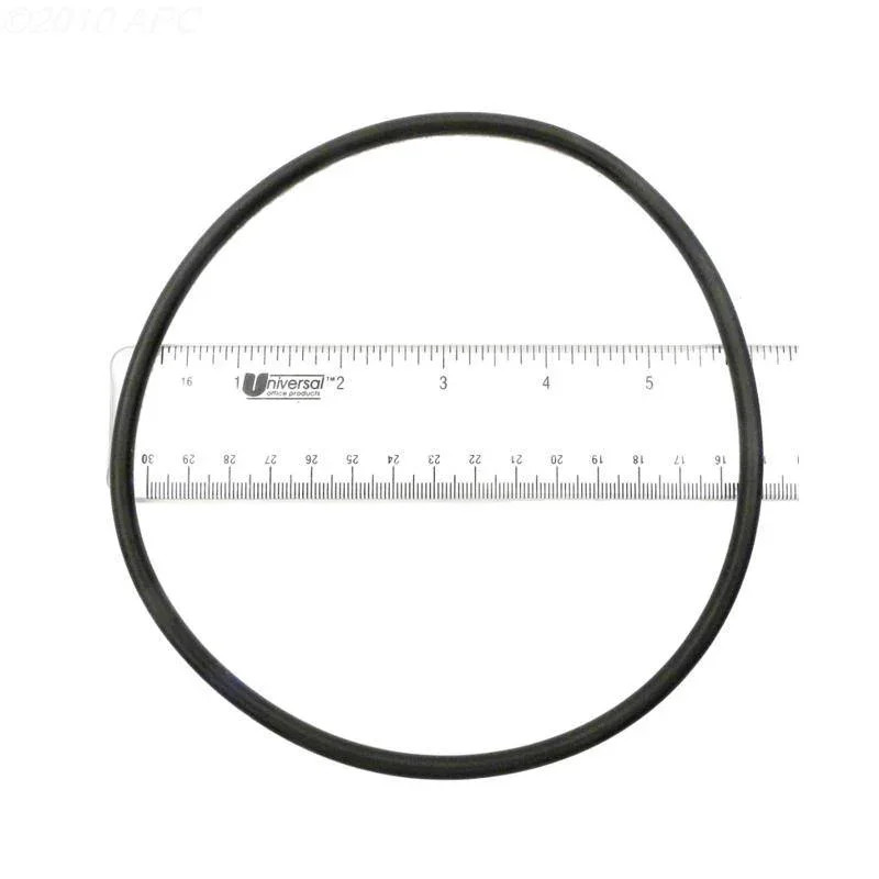 O-Ring, Filter Head