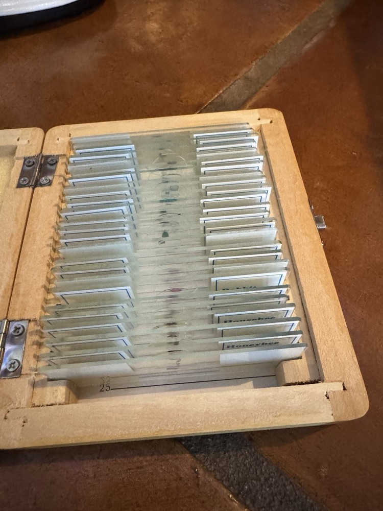 My First Lab Duo-Scope Microscope MFL-06 Extra Slides STEM