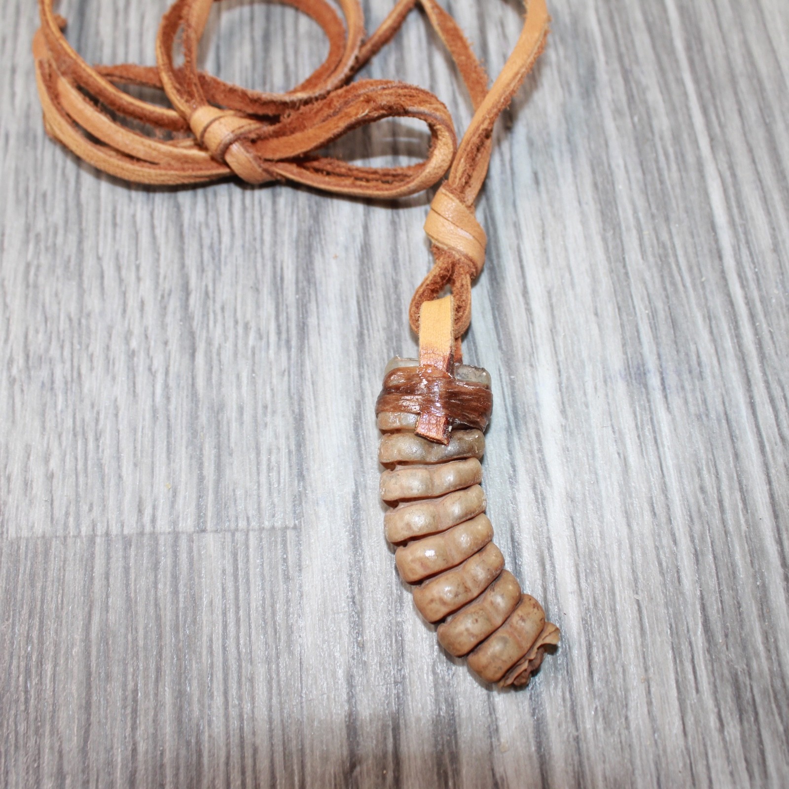 Very Large Rattlesnake Rattle  Necklace  #6663    Mountain Man Necklace