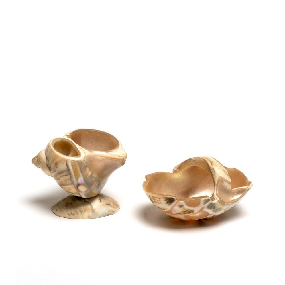 Two Antique Carved Shell Salts