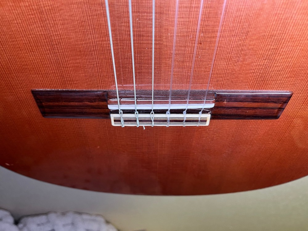Alhambra 5P Classical Guitar With Hard Case
