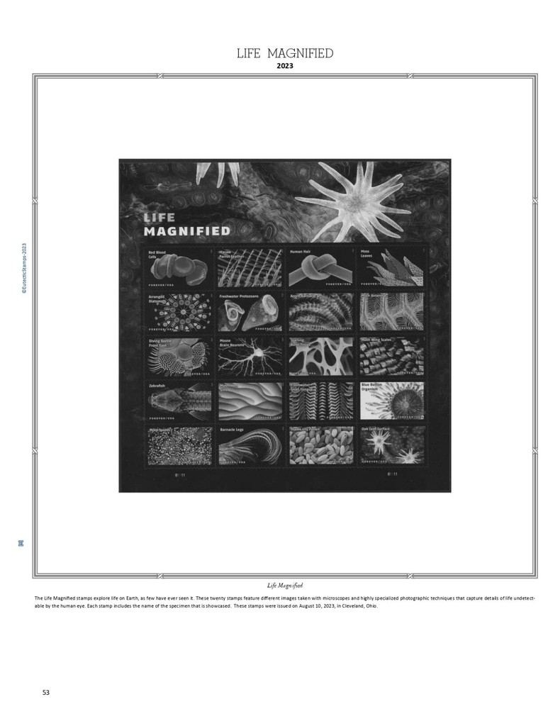 2023 U.S. Commemorative Singles SIMPLIFIED Supplement (White Ace Alternative)