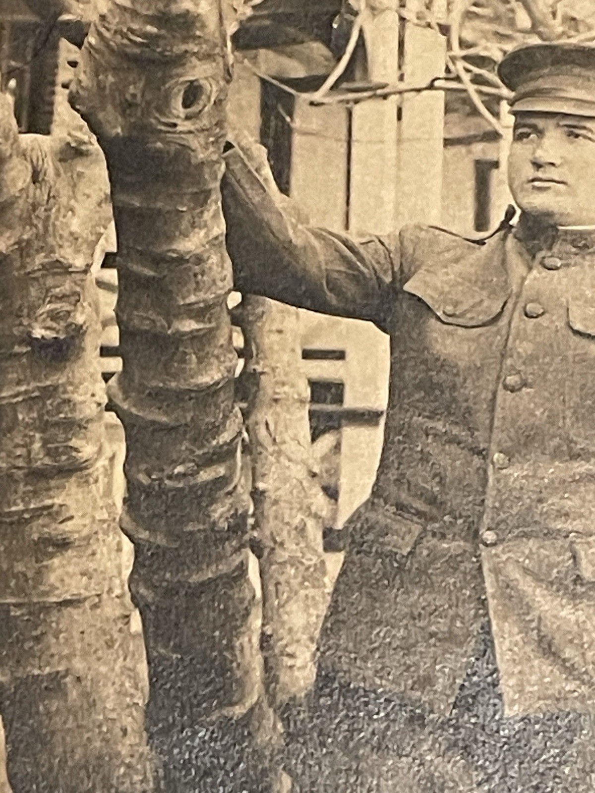 WW1 Photograph Young Military Soldier In Uniform With Medal & Hat - Sepia Color