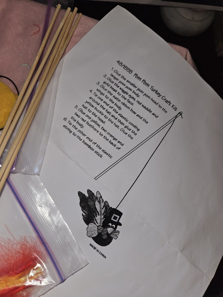 5 Pom Pom Turkey Craft Kit