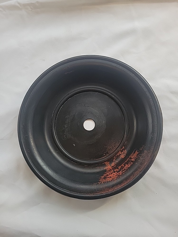 Wilden Pump Diaphragm #24