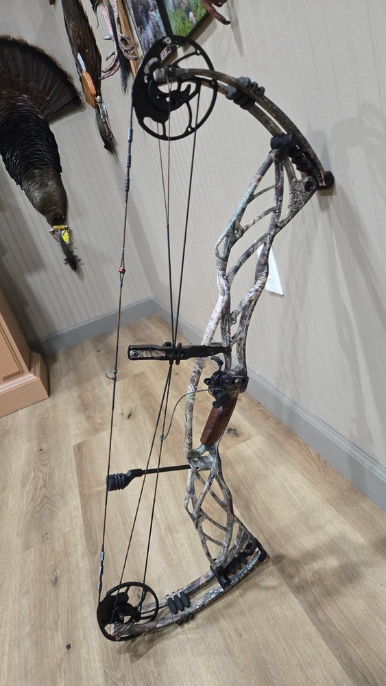 Compound Bow
