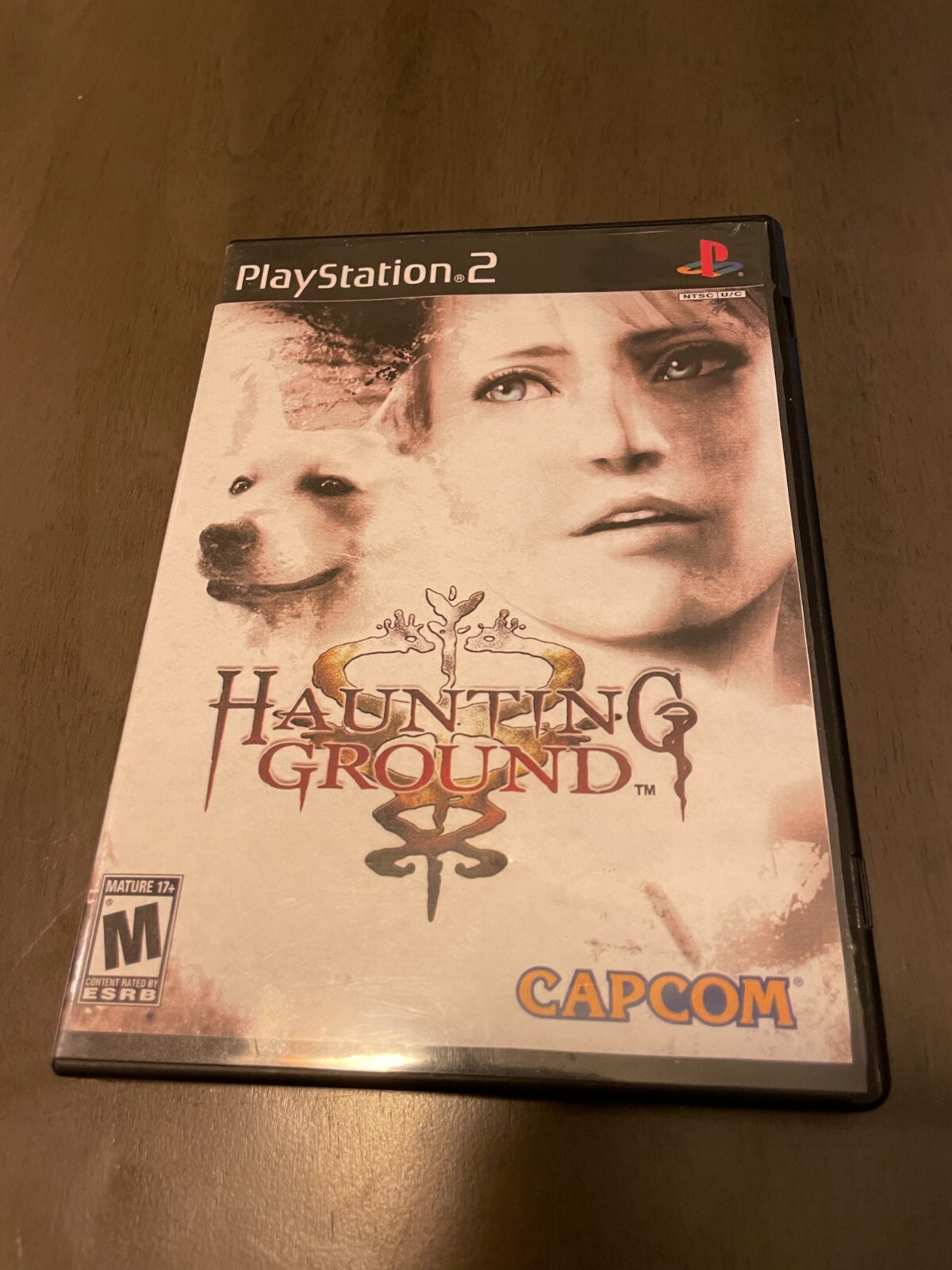 Haunting Ground USA Playstation 2 PS2 Edition Replacement Case Only Cover