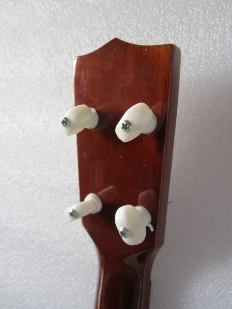 BEAUTIFUL HAWAIIAN UKULELE
