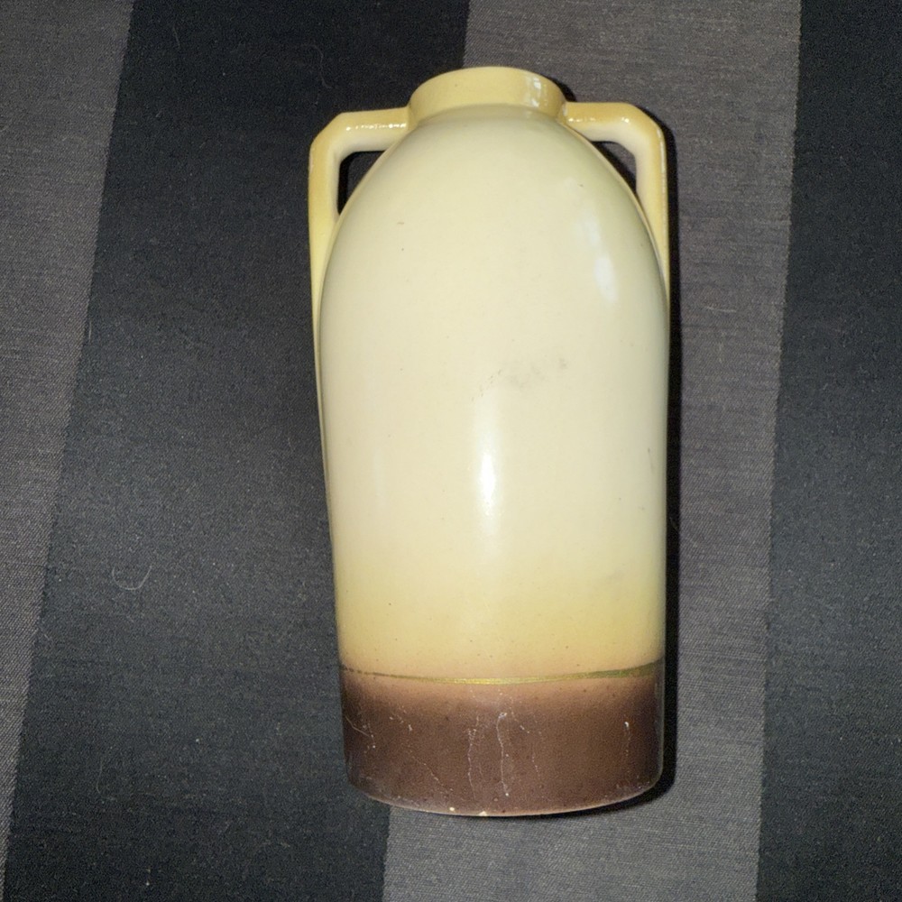 Double Handle Czech Floral Jug Case