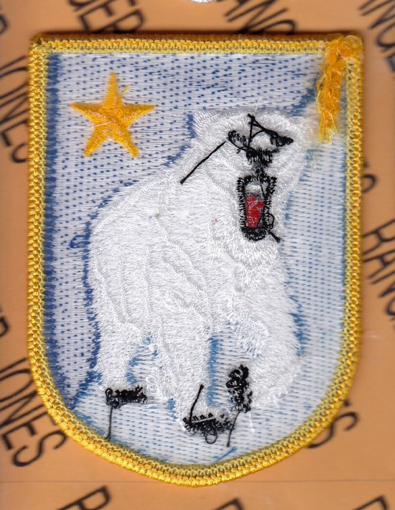 US Army Element Alaskan Command ~3.25" patch m/e