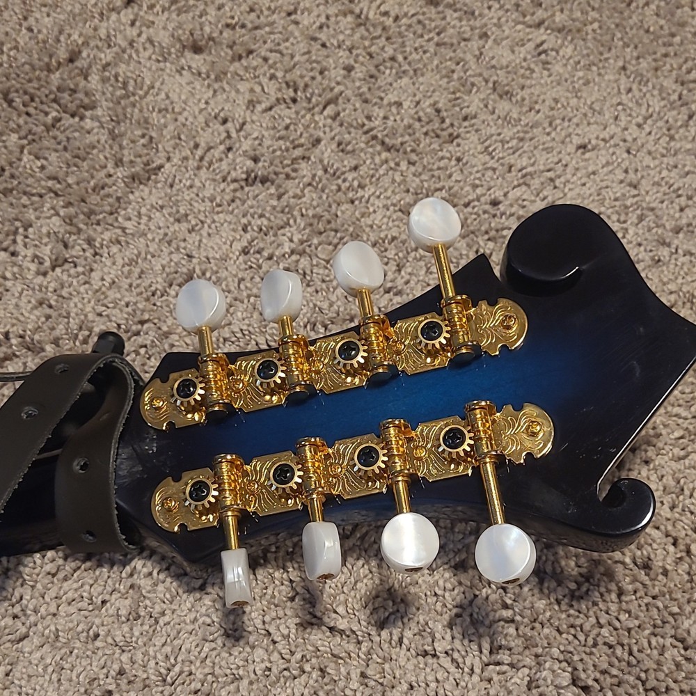 Washburn M1SDLTBL-A Mandolin with Case, 8 string