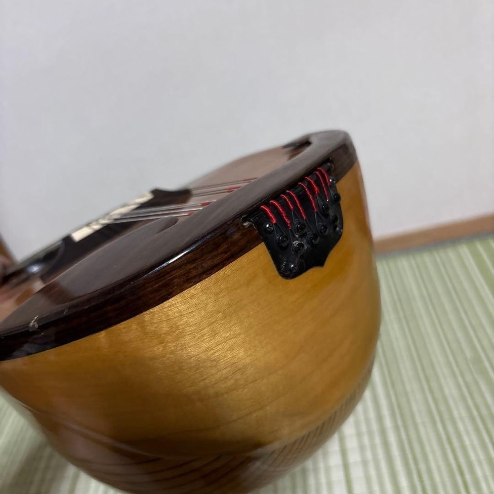 Raffaele Terada Musical Instruments High End Mandolin RM-3 String Guitar