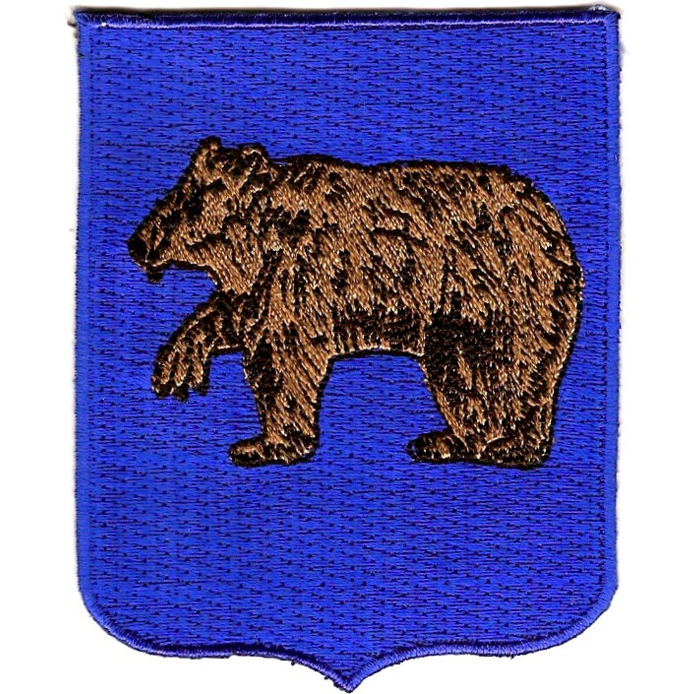 62nd Infantry Regiment Patch