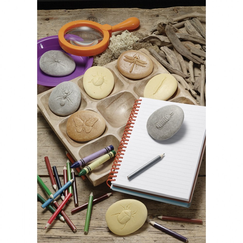 Yellow Door Play & Explore Bugs