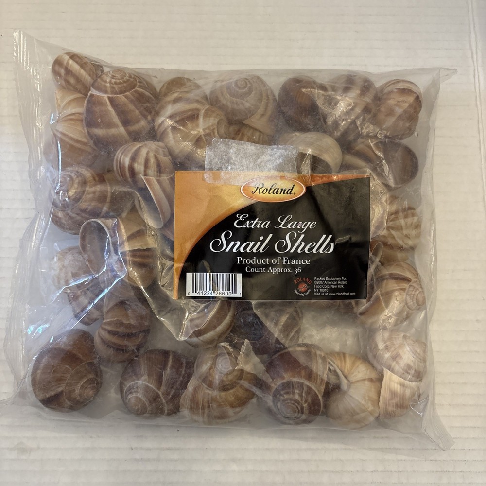 Escargot Snails Empty Extra Large Shells - 36 Shells - NOS