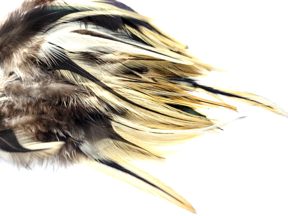 NATURAL BADGER NECK HACKLE - FEATHERS - 25 pc. - Fly Tying Materials - Jigs