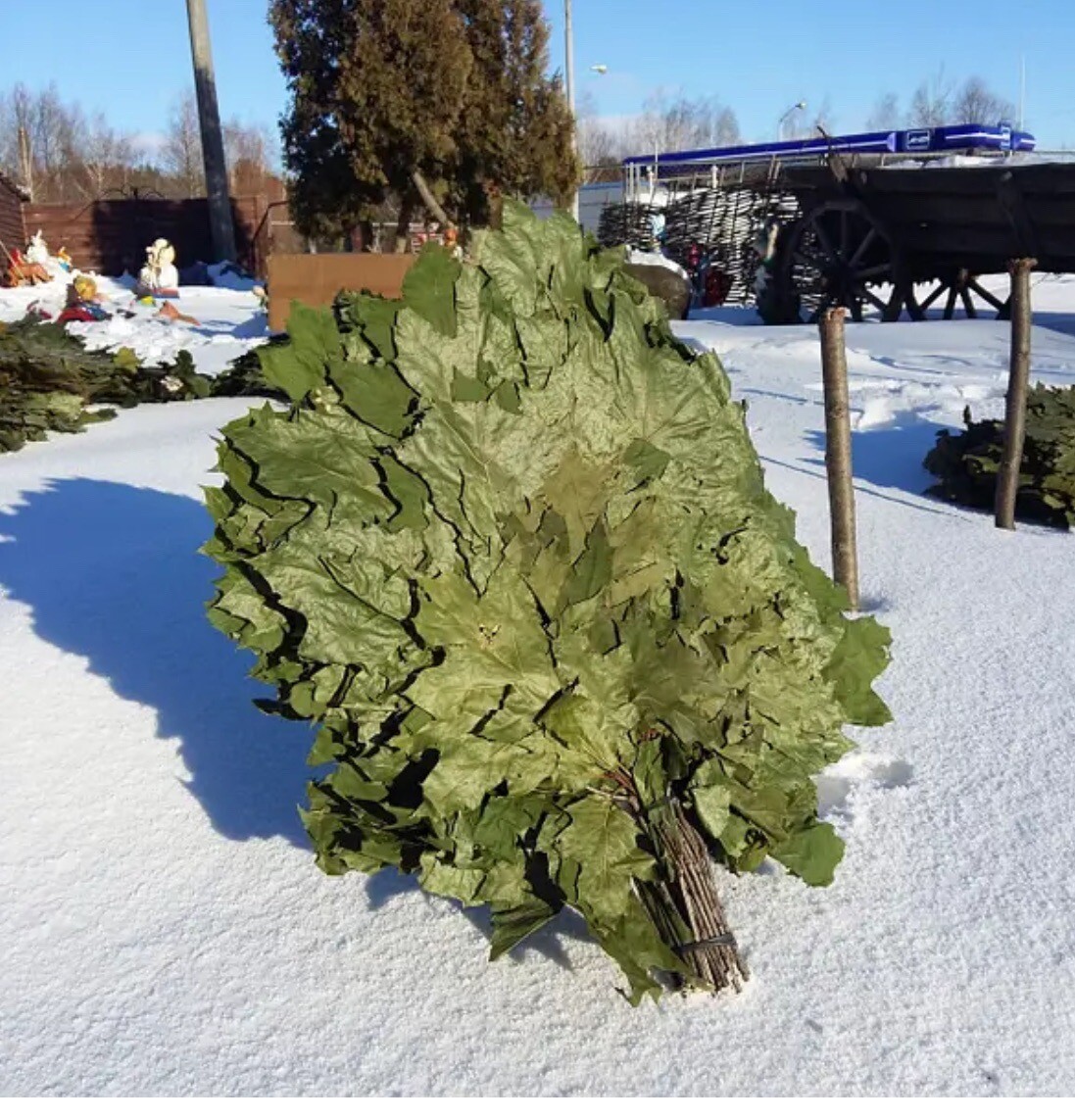 24 OAK whisks sauna banya venik brooms NEW SEASON 2025 FREE SHIPING