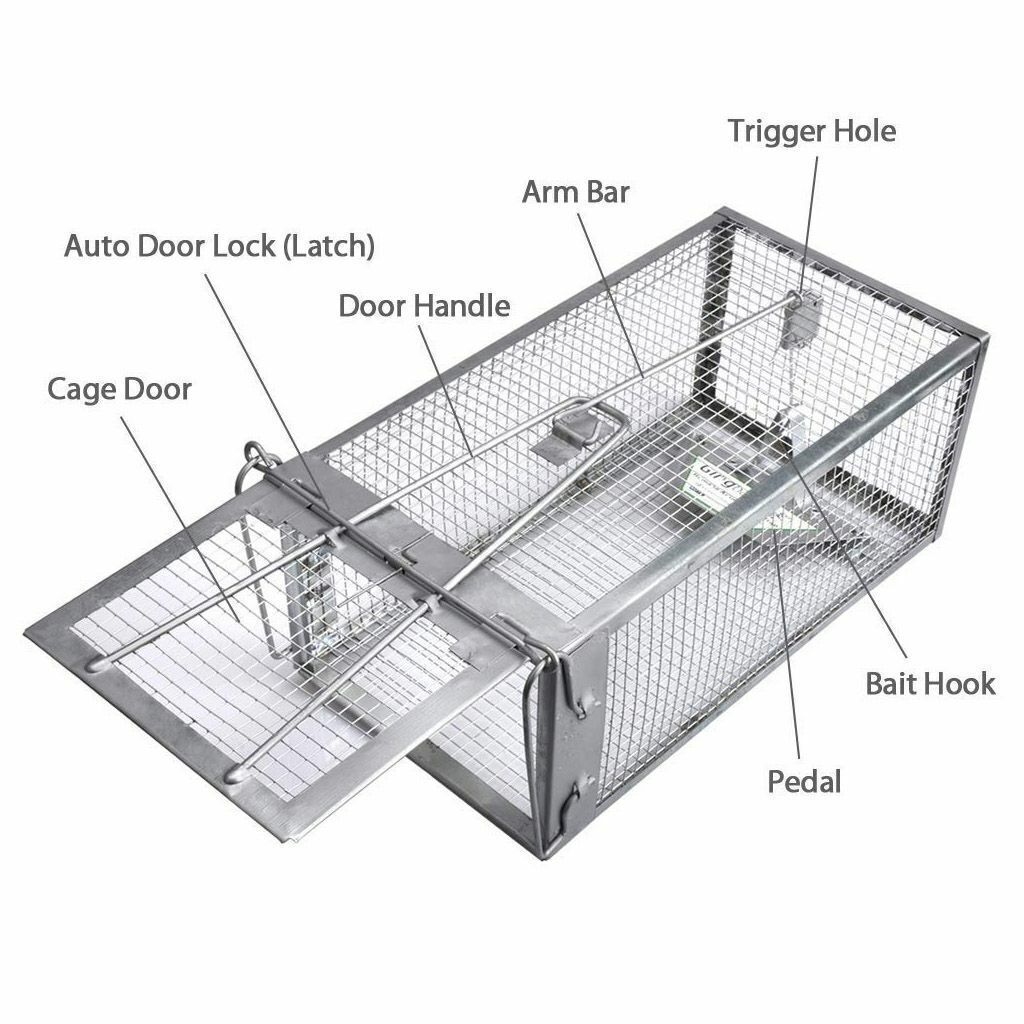 1-3x Live Humane Cage Trap For Squirrel Chipmunk Rat Mice Rodent Animal Catcher
