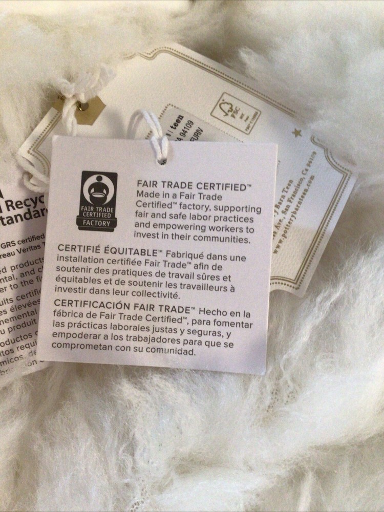 Pottery Barn Teen Cloud Fur Bean Bag Chair Slipcover Ivory Large 41 “ Super Soft