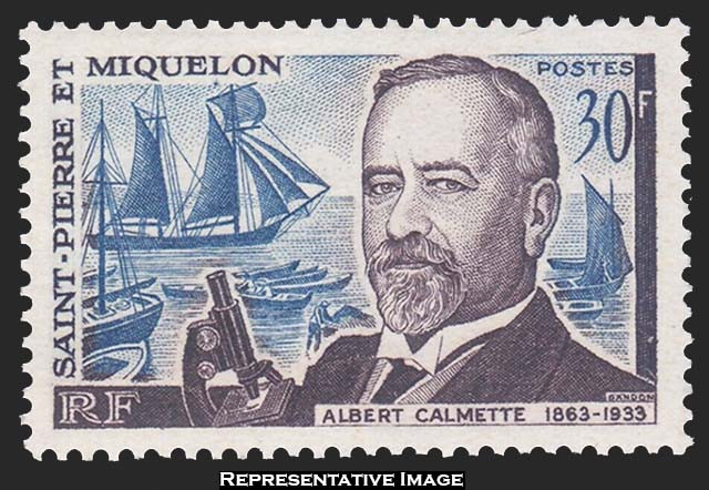 Saint Pierre & Miquelon Scott 363 Mint never hinged.
