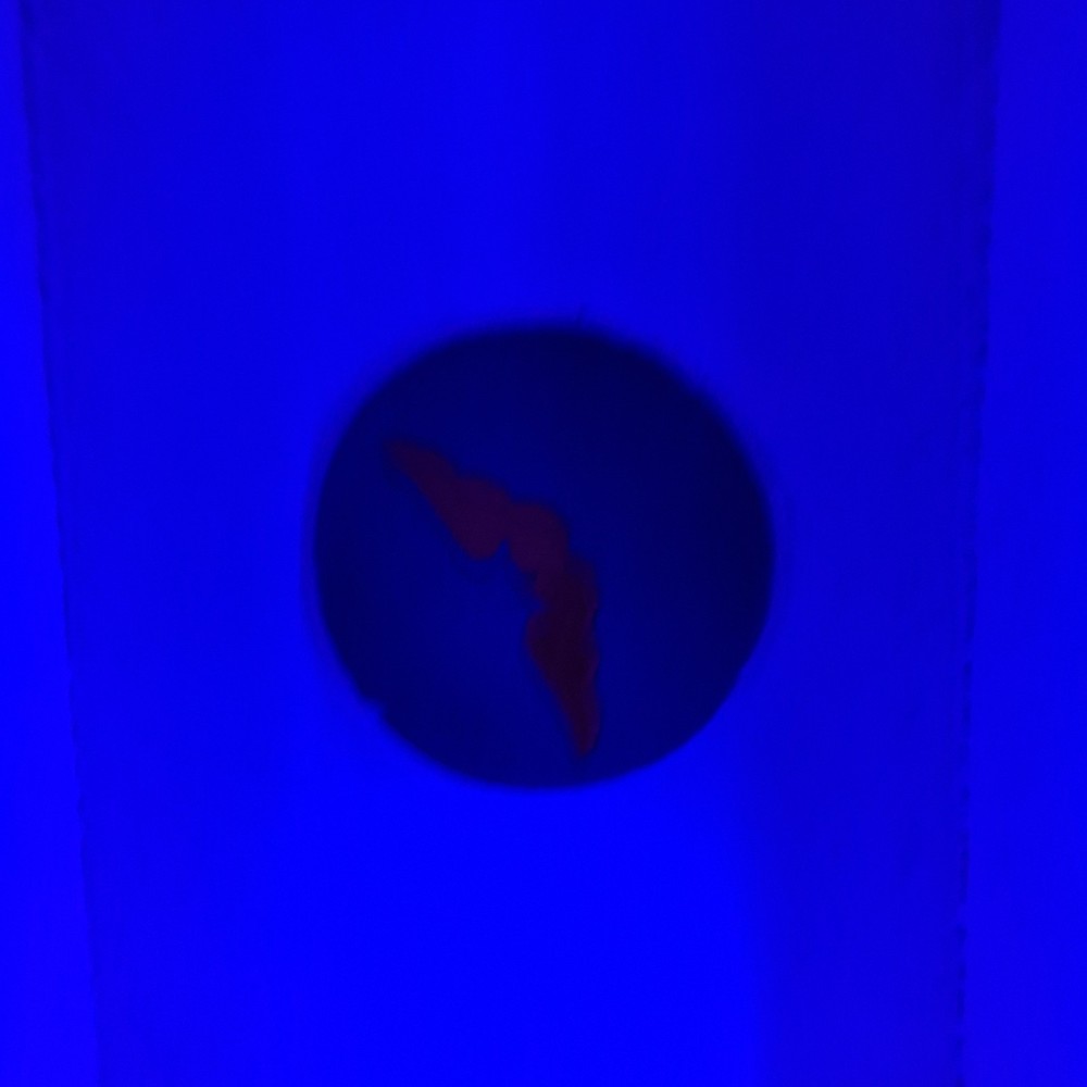 US Army Air Force WW2 Flight Instructor on Felt Patch