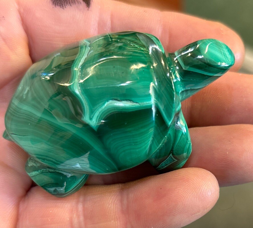 2” Malachite Turtle