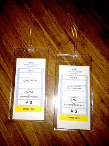 10 Pack - Premium Vinyl Cruise Ship Luggage Tag /eTag Holders with 9" Worm Loops