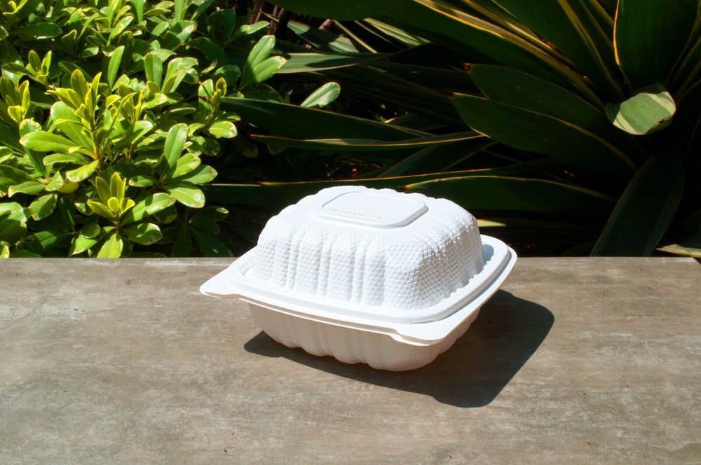 6” Hamburger Clamshell Box