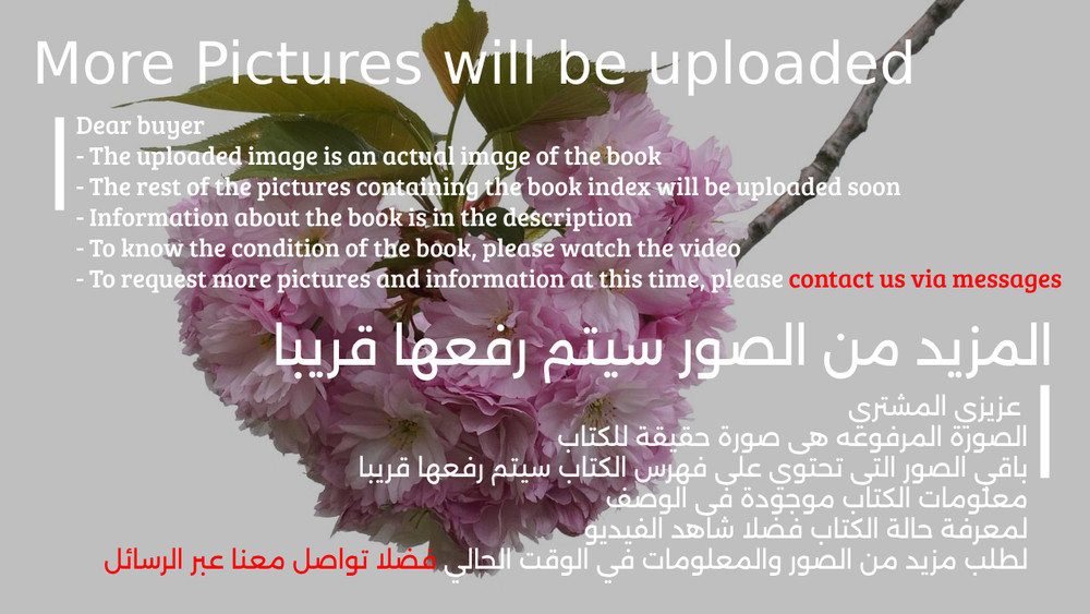 Islamic Art Prophet Mosque المسجد النبوي المدنية المنورة ورسومه في الفن الإسلامي