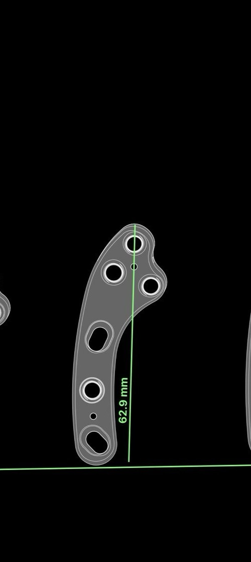 Veterinary Orthopedic TPLO Locking Plates 3.5mm standard Length 20 pcs 10R&10L