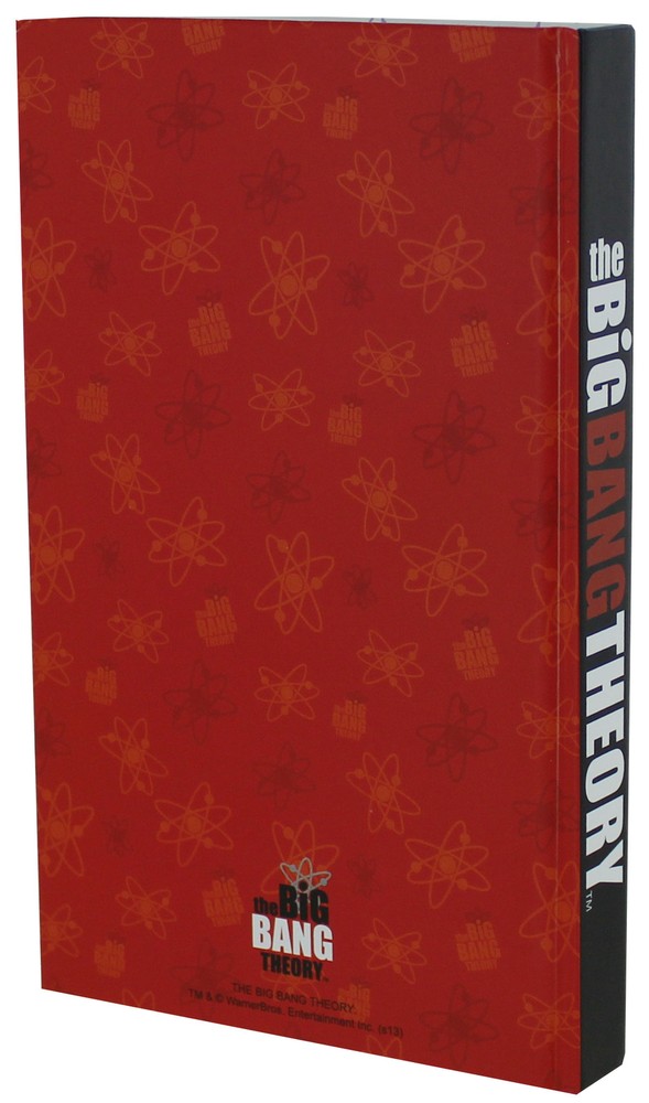 Big Bang Theory Comic-Con Journal