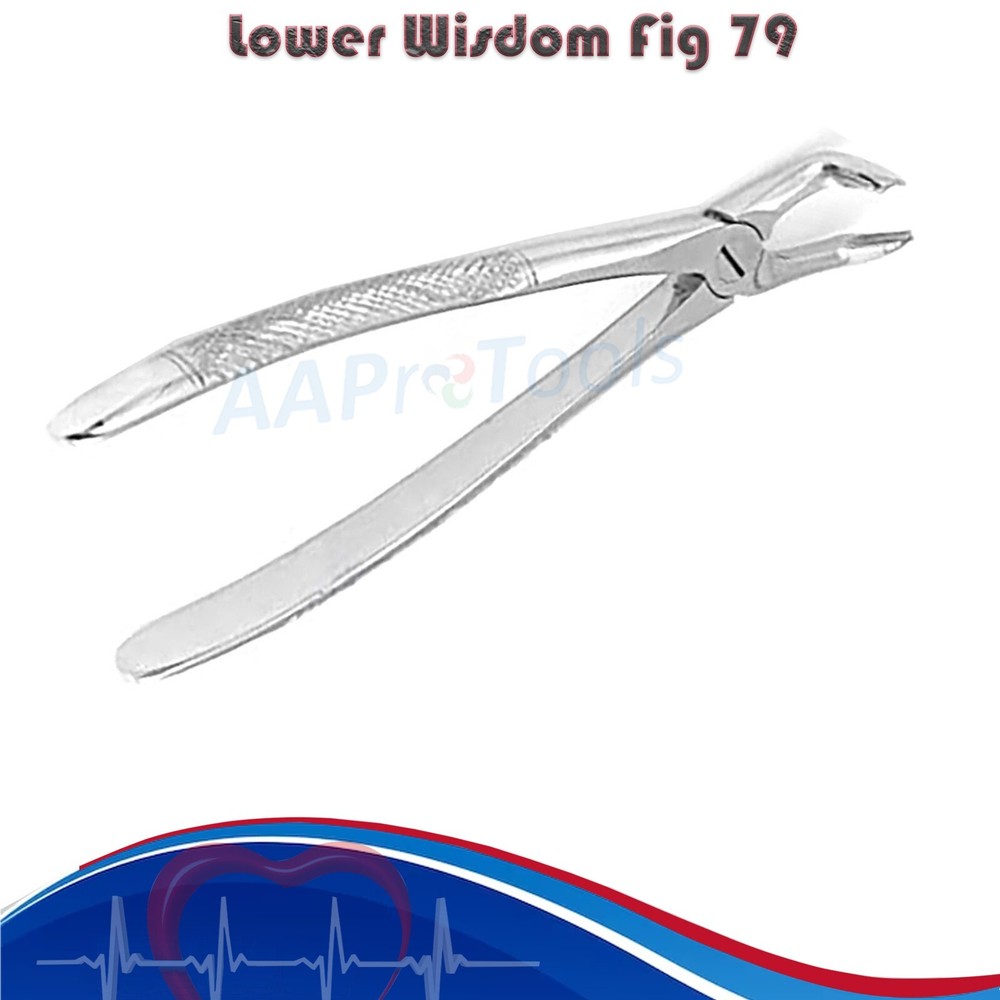 X2 PC Dental Instruments Extraction Forceps For Lower Wisdom Fig 79
