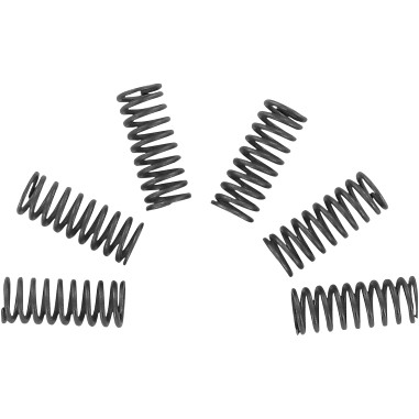 EBC CSK32 EBC CLUTCH SPRINGS