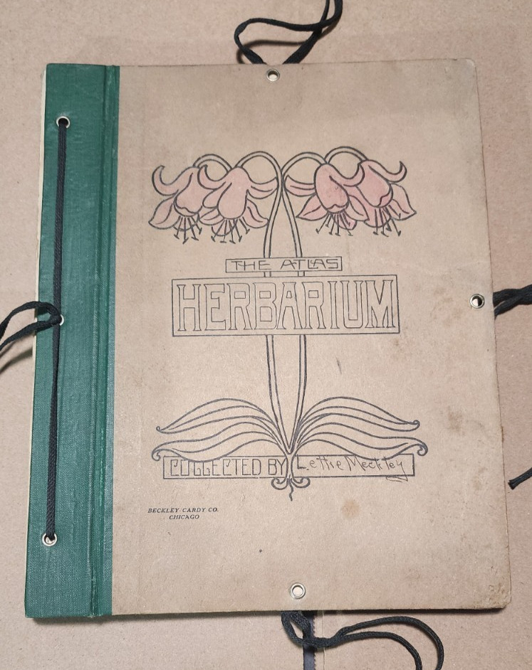 1900 Antique ATLAS HERBARIUM PLANT SPECIMINS Beckley Cardy Co. Completed 1929