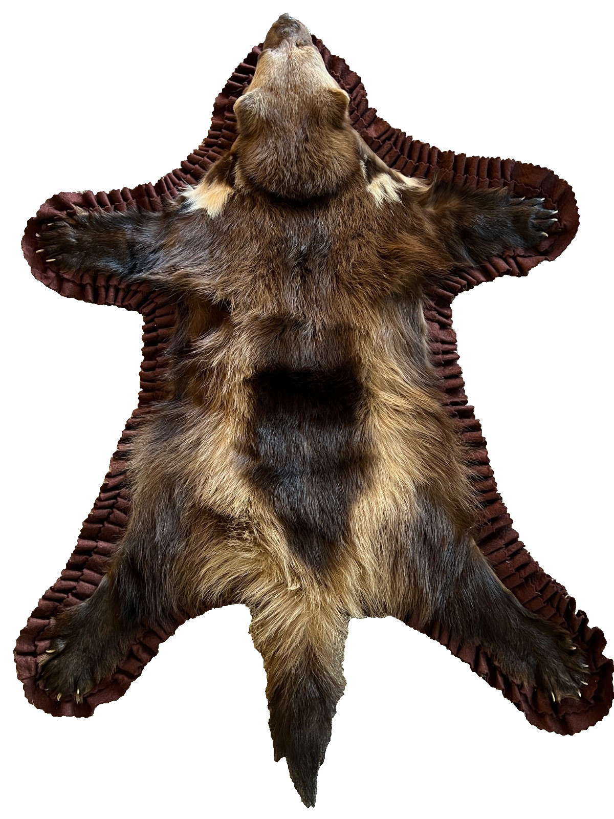 WOLVERINE Full Skin Rug Mount CANADA - Alaska Taxidermy Open Mouth Vintage