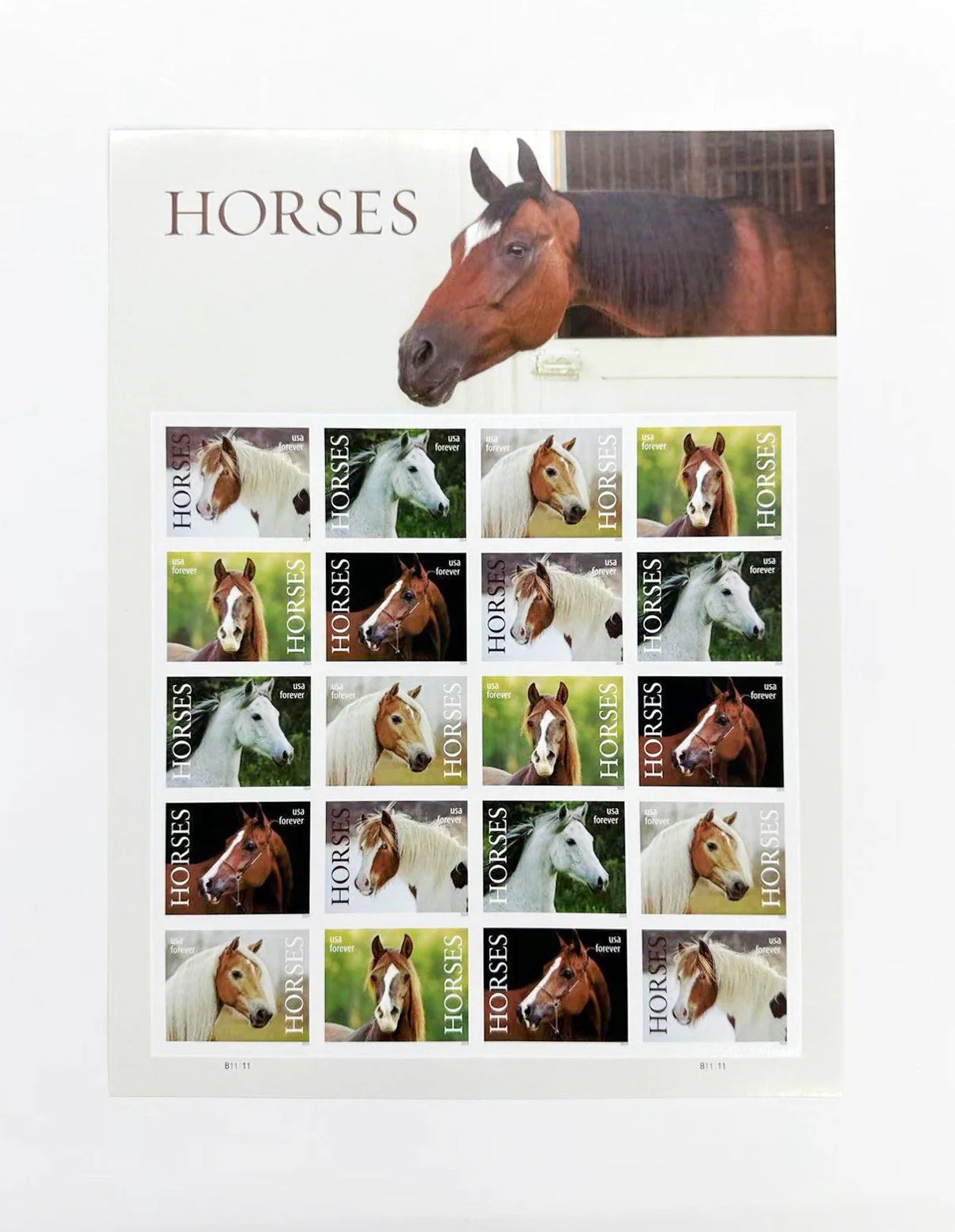 2024 USPS Horses Postage Stamps Sheet of 20 First Class Letter 78 cents