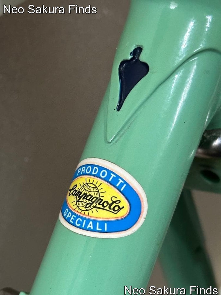 Vintage Chromoly Frame Frameset