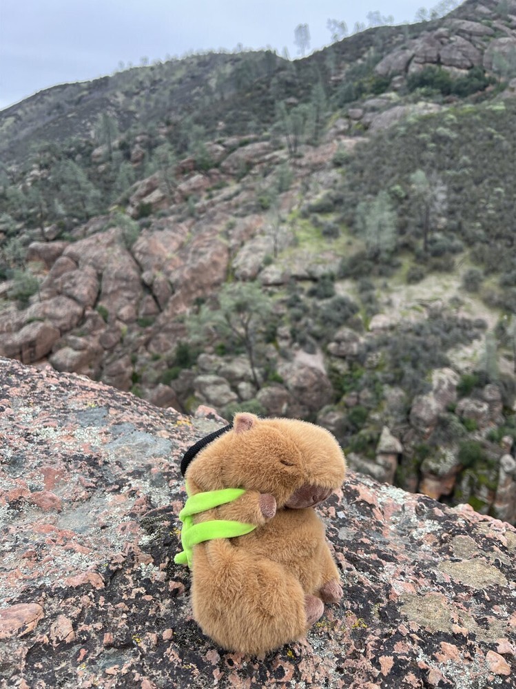 Capybara Chalk Bag