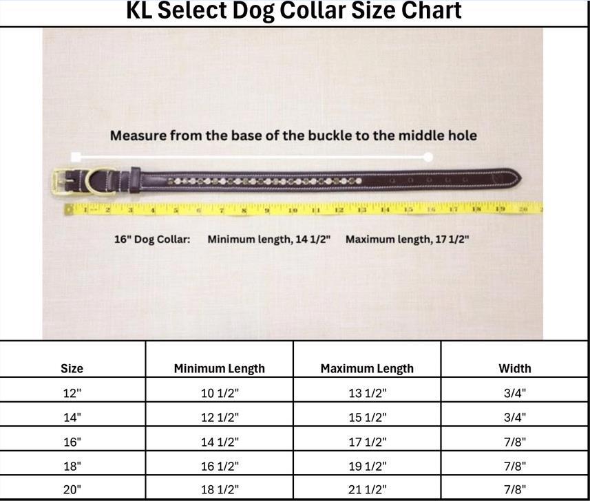 KL Select Paradise Dog Collar-CLOSEOUT