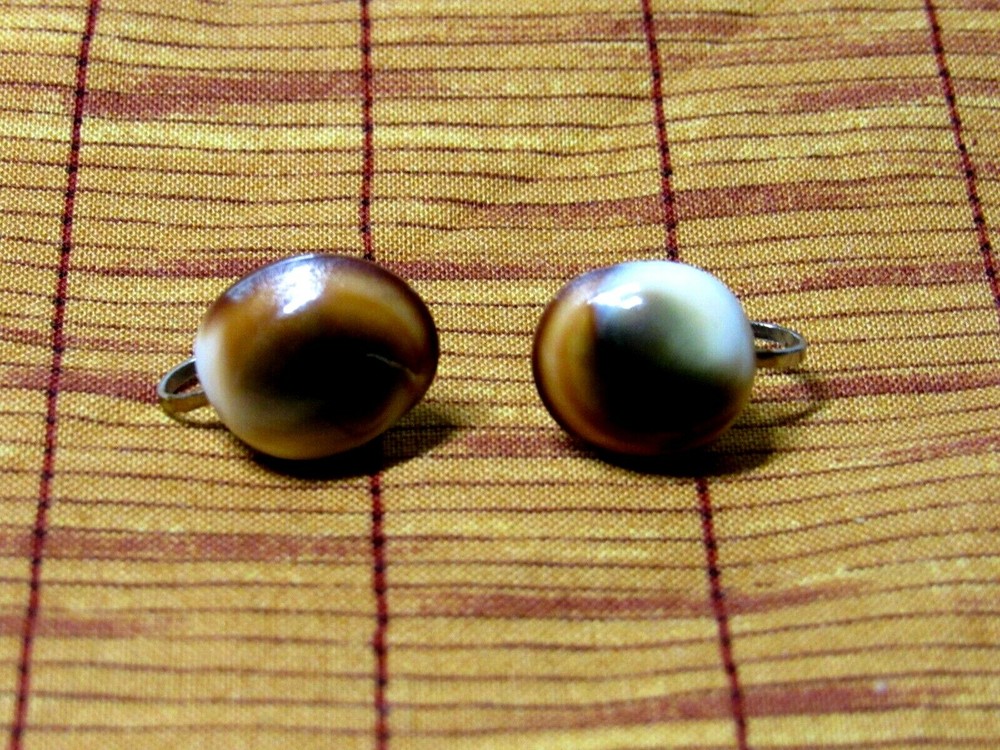 Vtg Polished Cat's Eye Shell Screw Back Earrings