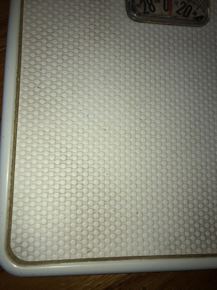 White Taylor Metro Scale-Model 2004D 5104 V2525