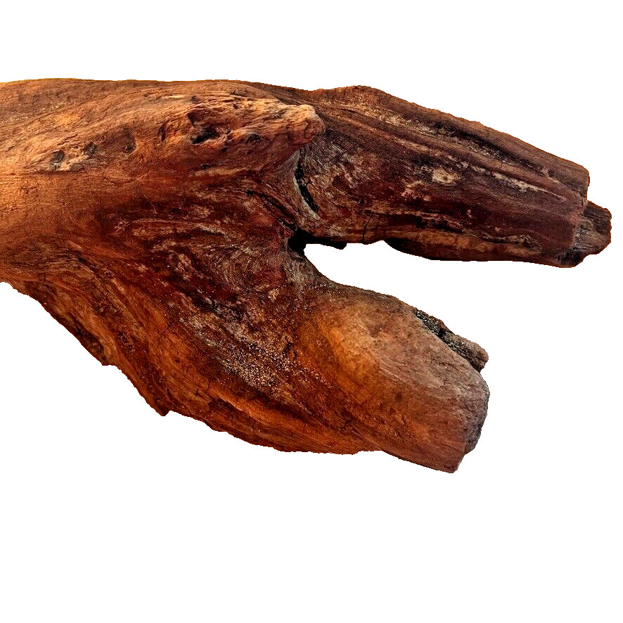 18" x 5" Redwood Driftwood Organic Craft Aquarium Rustic Boho Natural Wood